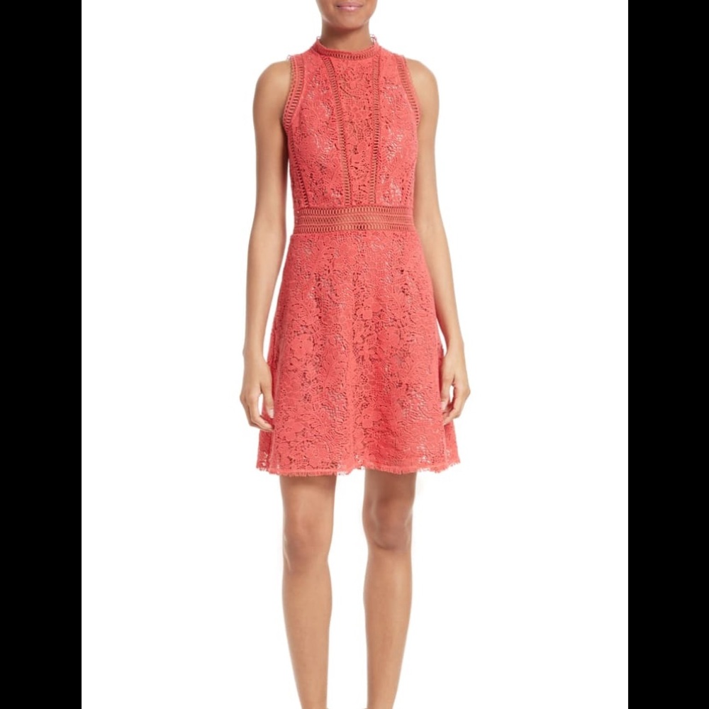 New Rebecca Taylor Arella Lace Dress